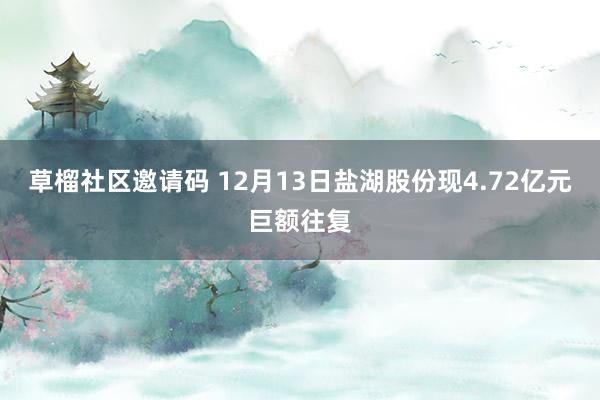 草榴社区邀请码 12月13日盐湖股份现4.72亿元巨额往复