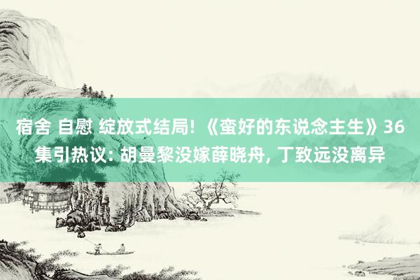 宿舍 自慰 绽放式结局! 《蛮好的东说念主生》36集引热议: 胡曼黎没嫁薛晓舟， 丁致远没离异